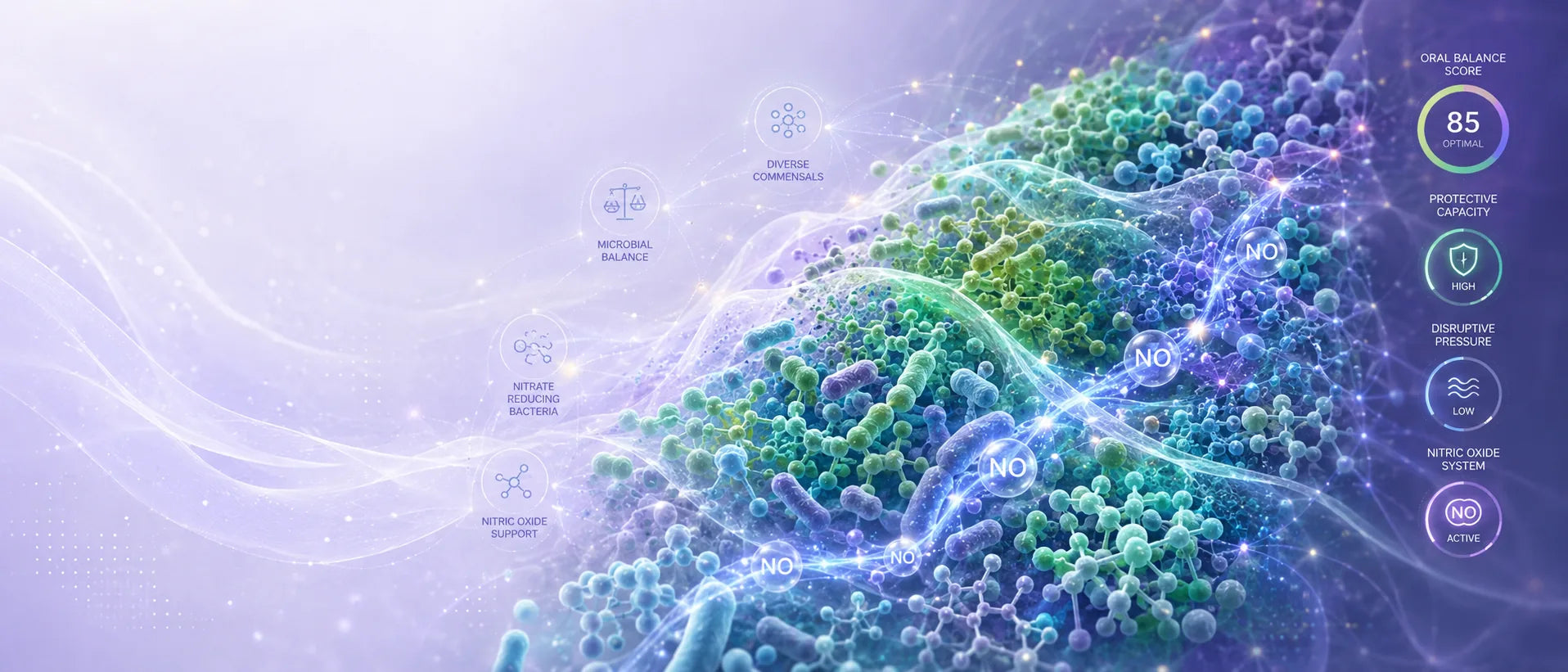 The Oral Ecosystem